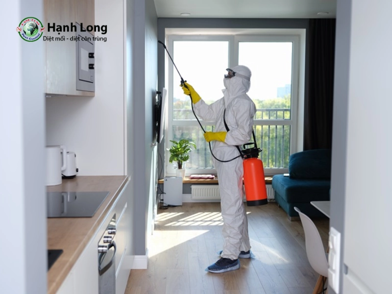 Cách làm thuốc diệt muỗi tự chế: Tiết kiệm, an toàn cho gia đình