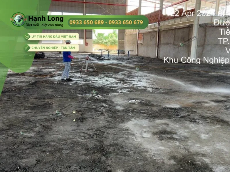 quy trình chống mối