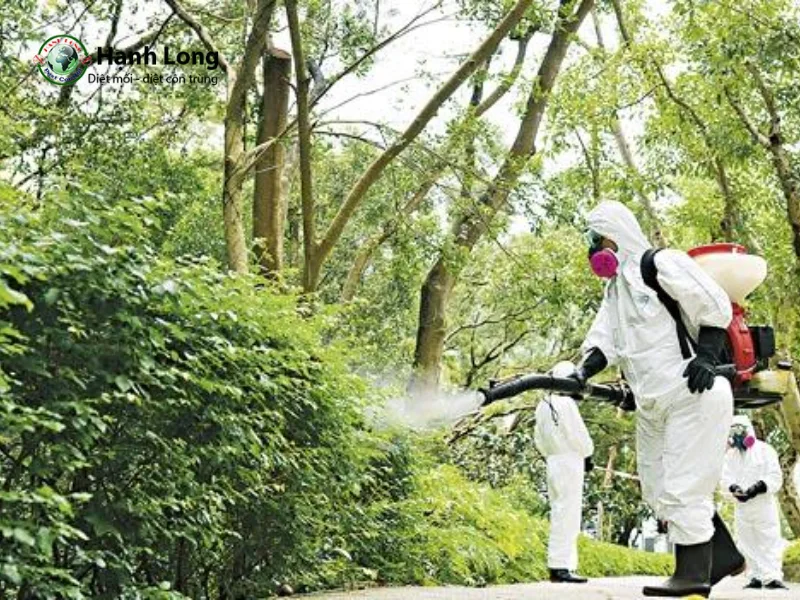 diệt muỗi uy tín Bình Thạnh diệt muỗi uy tín Bình Thạnh