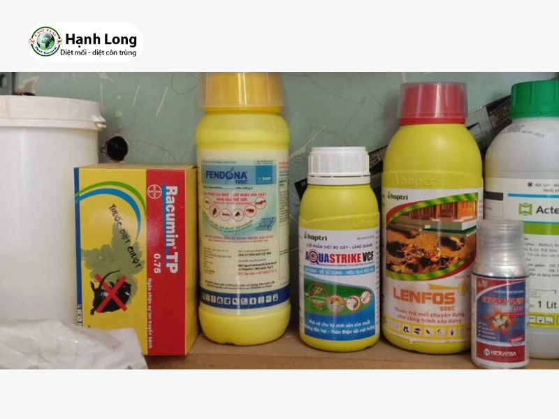 thuốc diệt mối hiệu quả