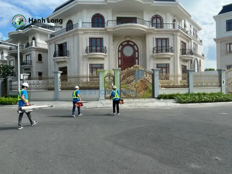 Đơn vị diệt muỗi quận 6 Trần Long