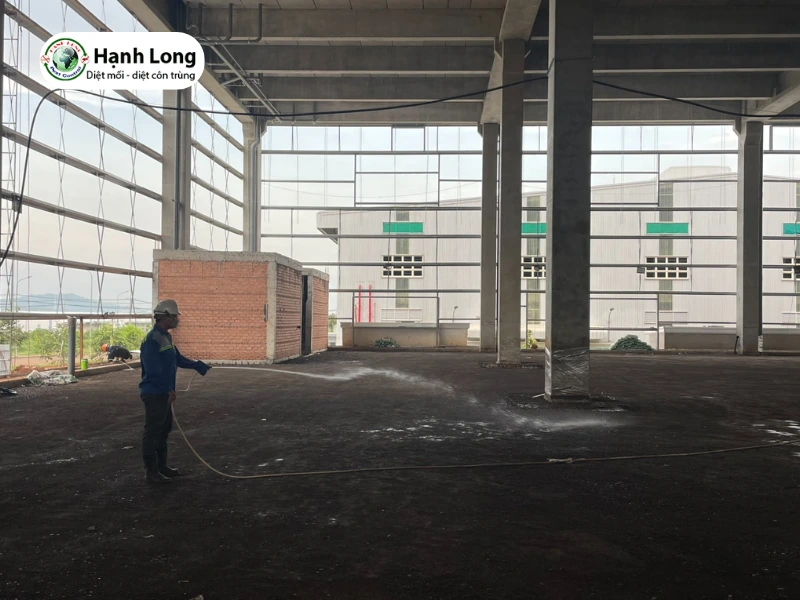 diệt mối tại Bình Tân