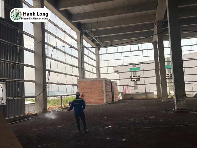 chống mối công trình xây dựng