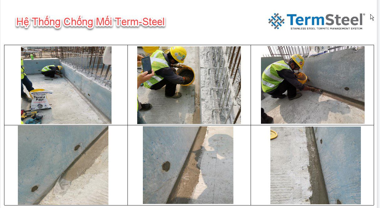 Giải pháp chống mối bằng lưới thép không gỉ TERMSTEEL