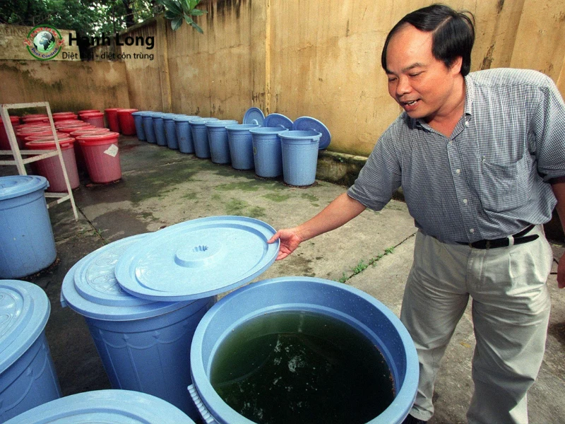 diệt bọ gậy trong nước