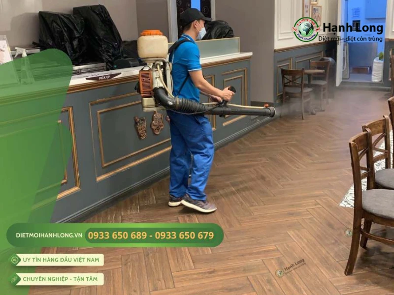 dịch vụ diệt rết dịch vụ diệt rết