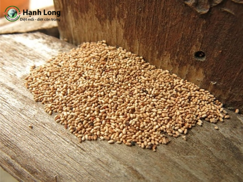 Các phương pháp dân gian diệt mối trong nhà quy mô nhỏ