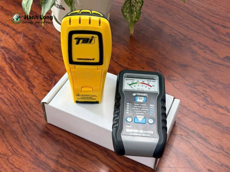 diệt mối tận gốc gò vấp