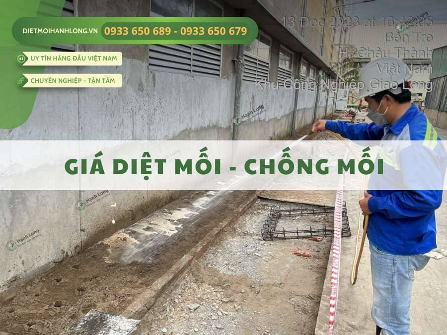 Bảng giá diệt mối tận gốc tại nhà