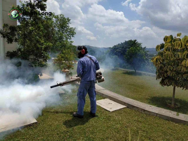 cách diệt muỗi hiệu quả