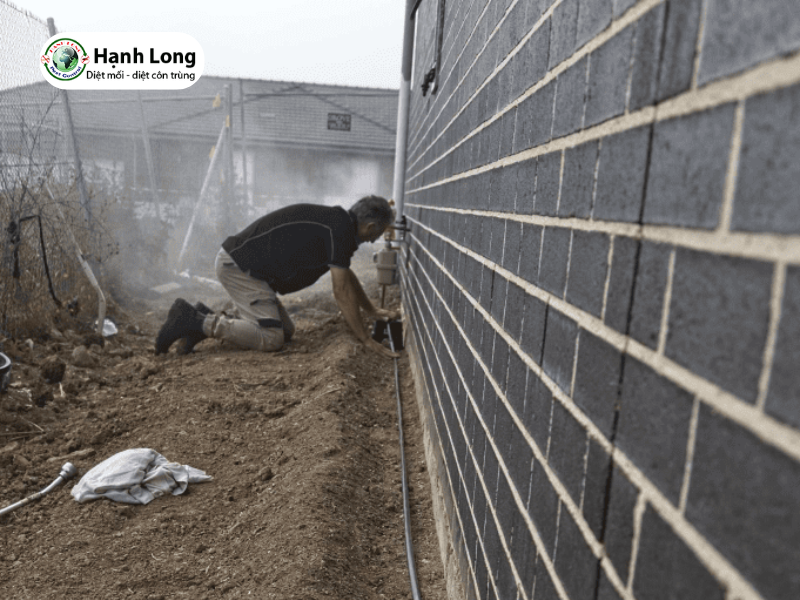 Dịch vụ Diệt mối khu công nghiệp