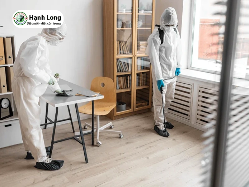 đơn vị diệt mối biệt thự