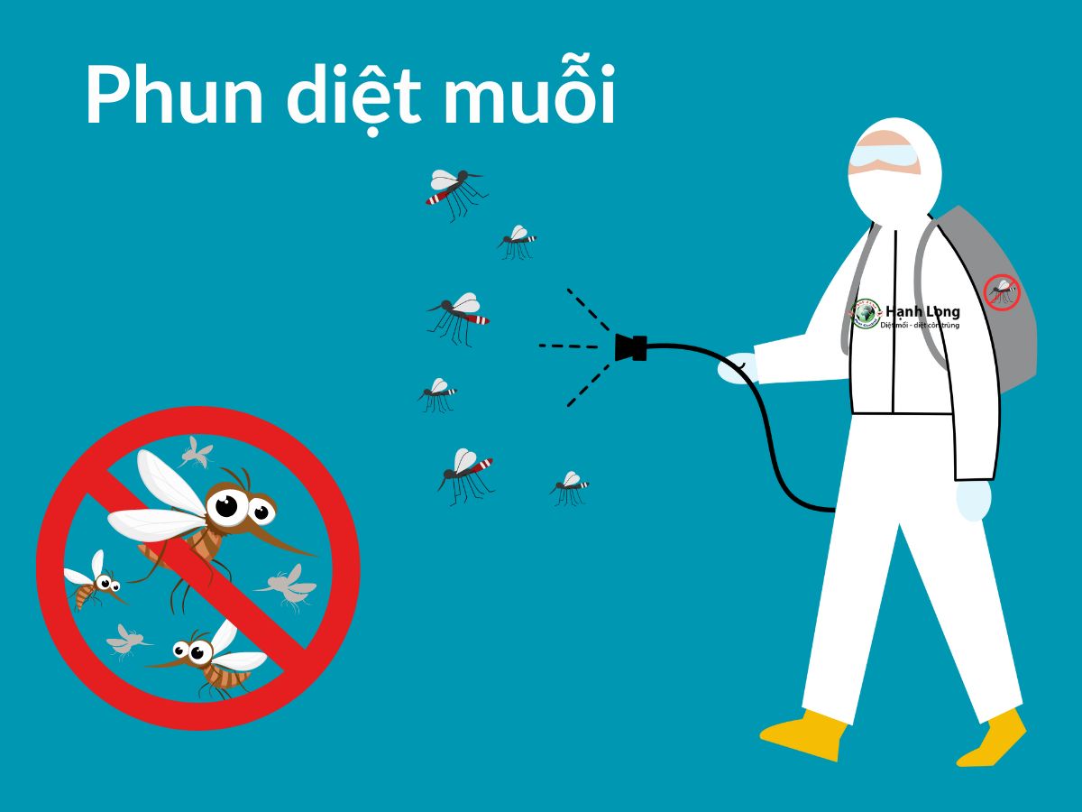 Dịch vụ phun muỗi tại Hà Nội – Cty Hạnh Long
