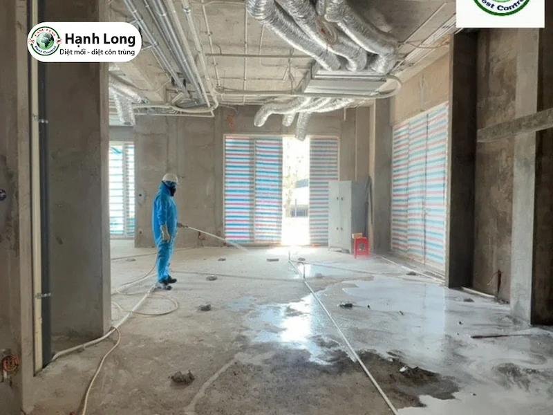 mối đục tường