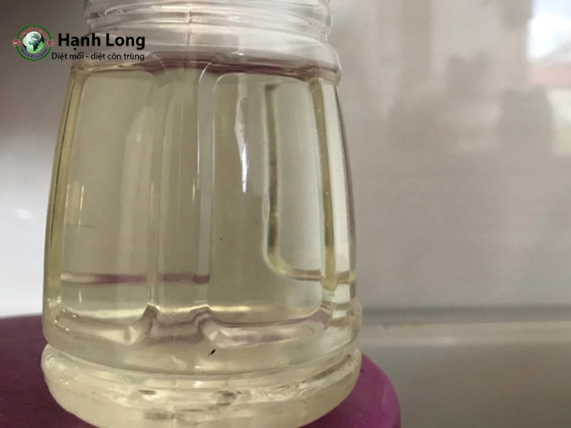 diệt mối sàn gỗ