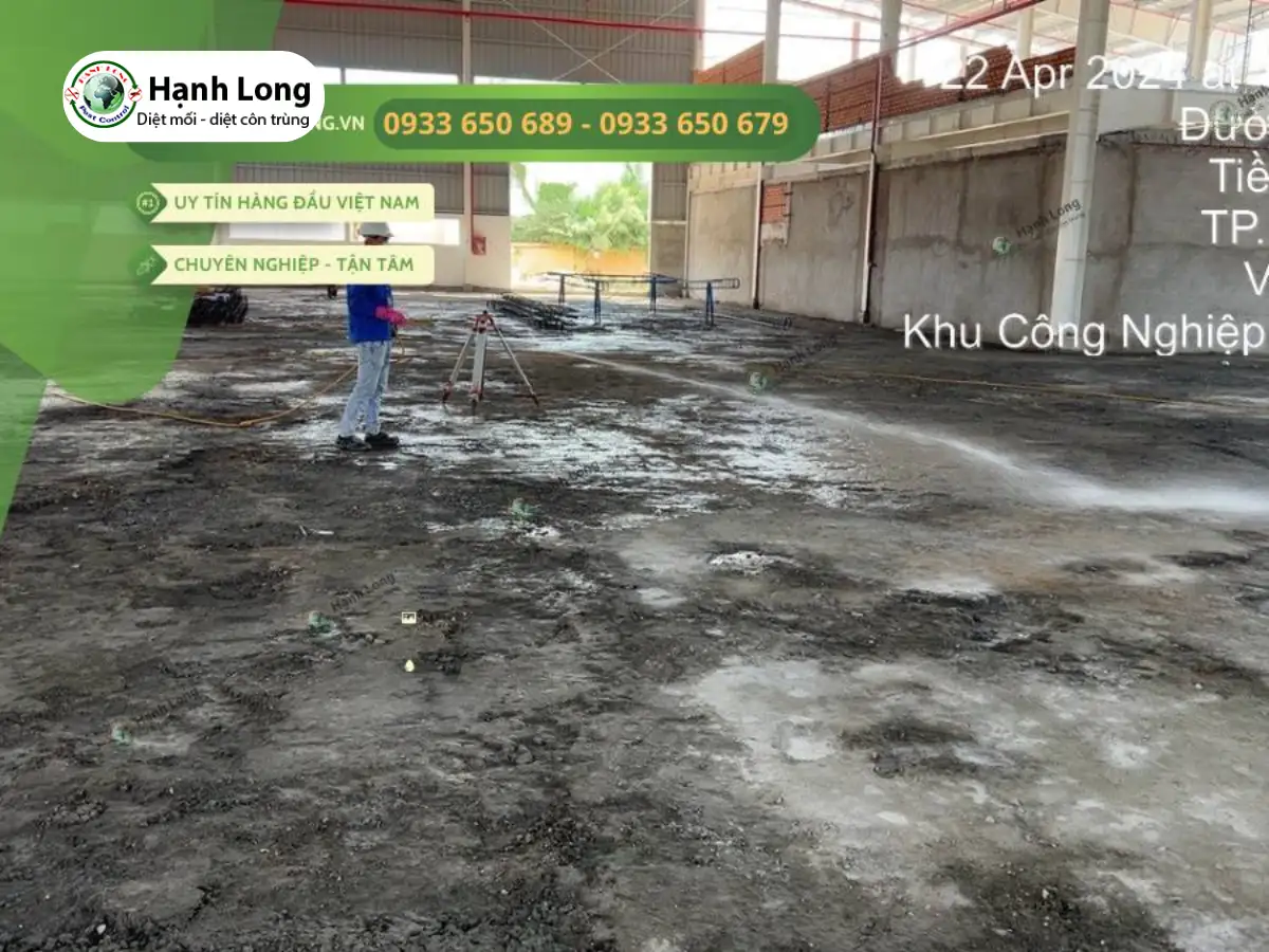 công ty chống mối