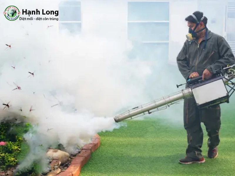 hướng dẫn phun thuốc diệt muỗi