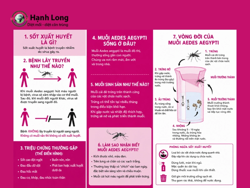 muỗi anophen và muỗi vằn