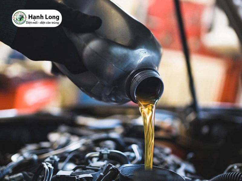 Lưu ý an toàn quan trọng khi diệt mối bằng nhớt