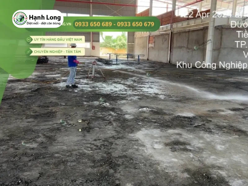 công ty dịch vụ diệt mối tận gốc tại nhà