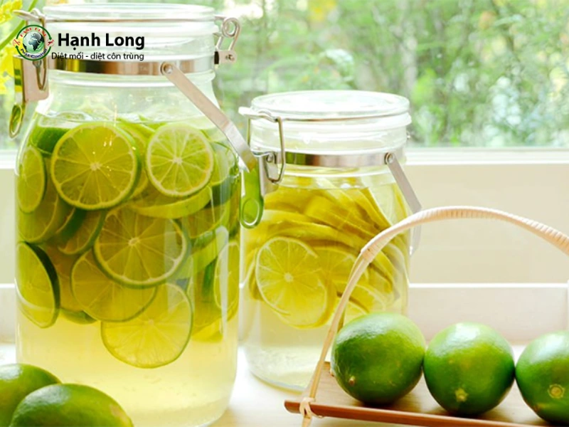 cách trị mọt gỗ tại nhà