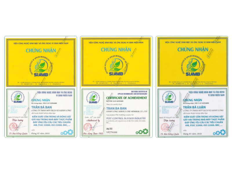 diệt mối hcm