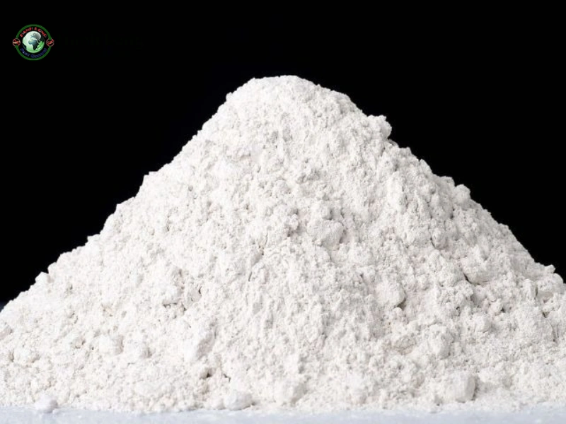 cách diệt mối trong nhà