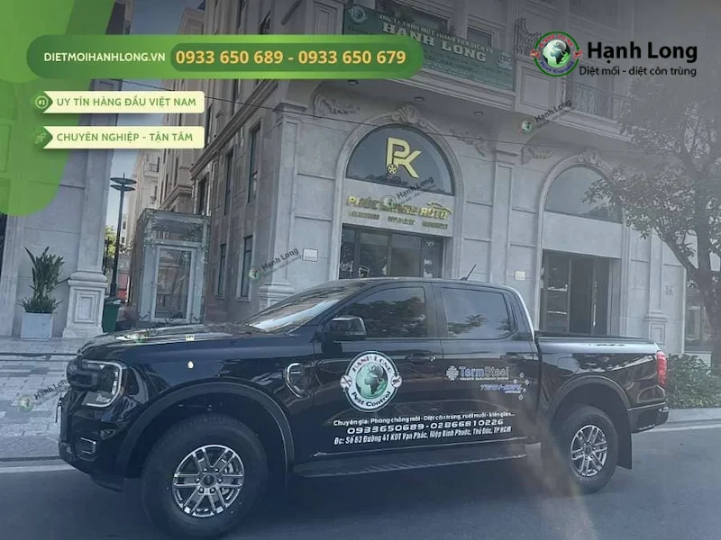 công ty diệt ruồi công ty diệt ruồi