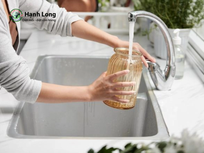 diệt lăng quăng bằng muối diệt lăng quăng bằng muối