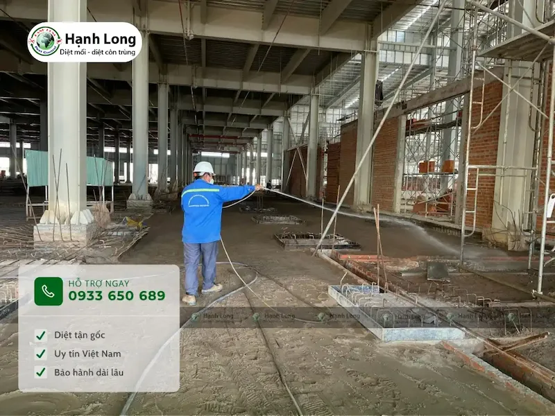 diệt mối trước khi xây nhà diệt mối trước khi xây nhà