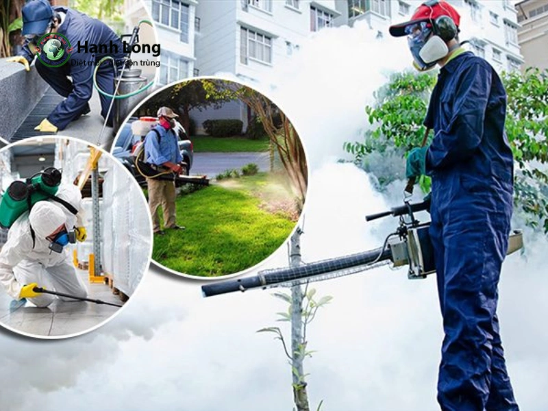 cách đuổi muỗi trong vườn