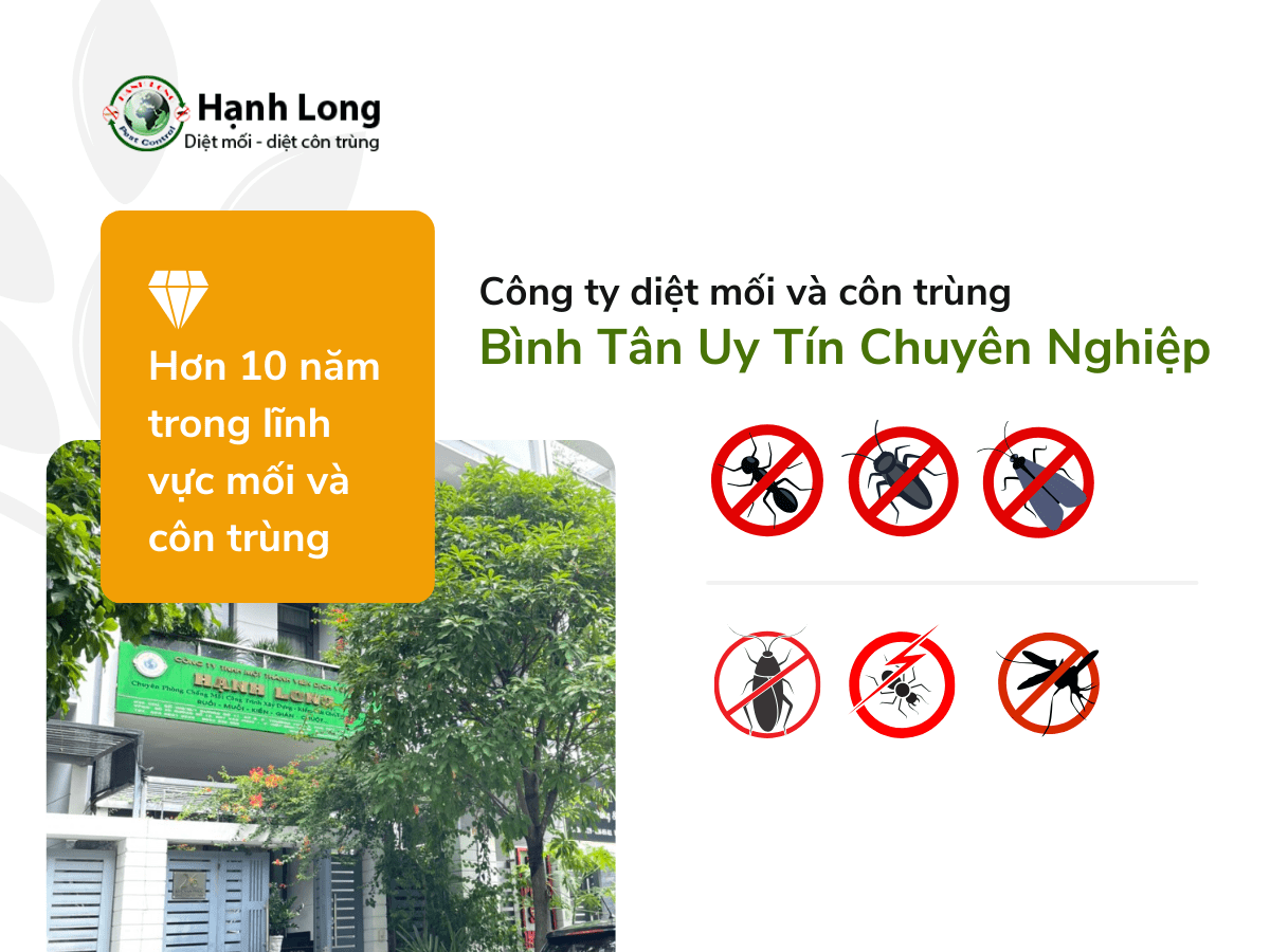 Công ty Diệt Côn Trùng Bình Tân