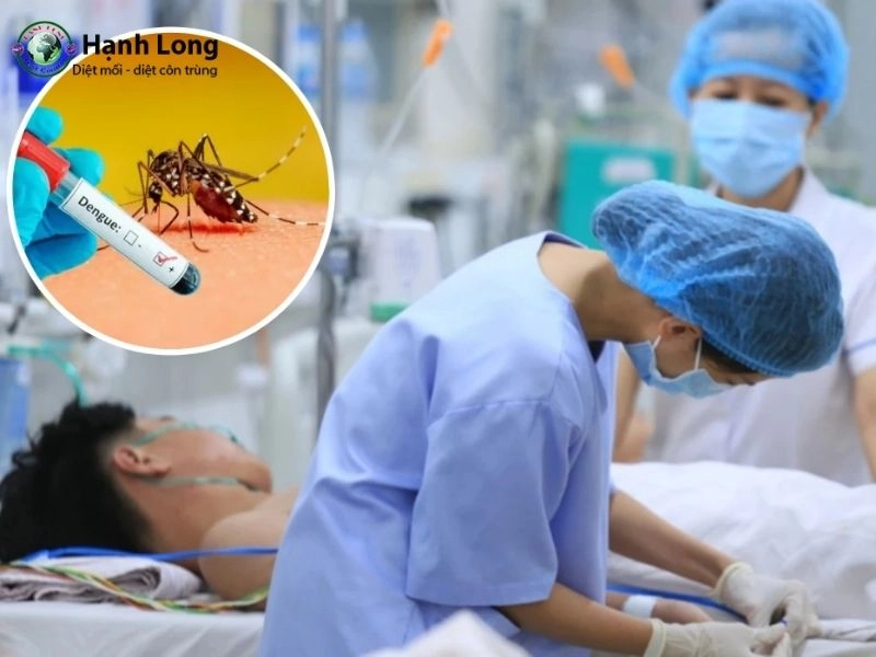 bị muỗi đốt