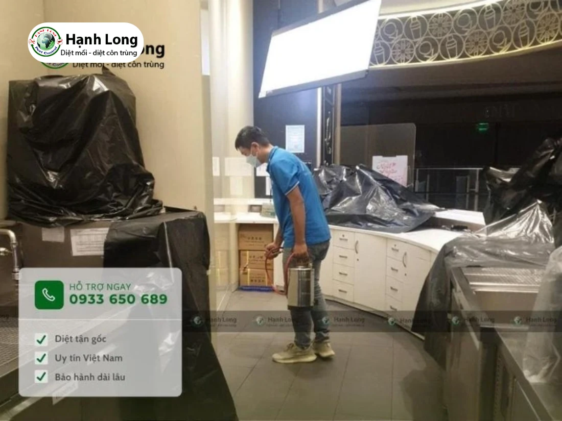 cách diệt kiến ba khoang triệt để