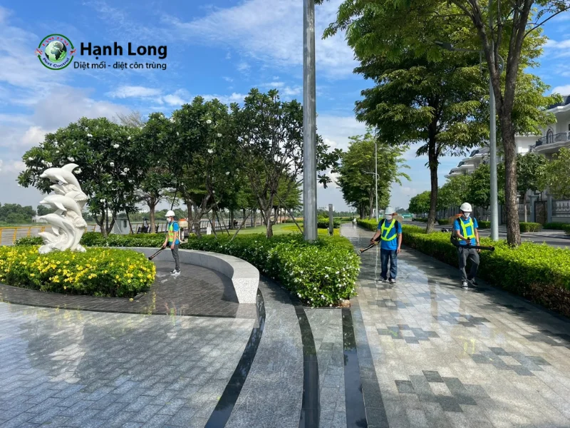 dịch vụ diệt muỗi