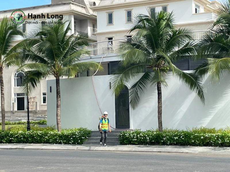 diệt muỗi quận 3 diệt muỗi quận 3