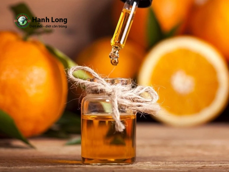 diệt mối sinh học diệt mối sinh học