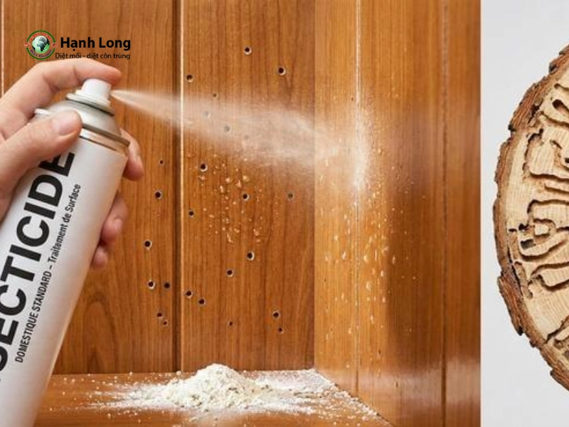 cách trị mọt gỗ tại nhà cách trị mọt gỗ tại nhà