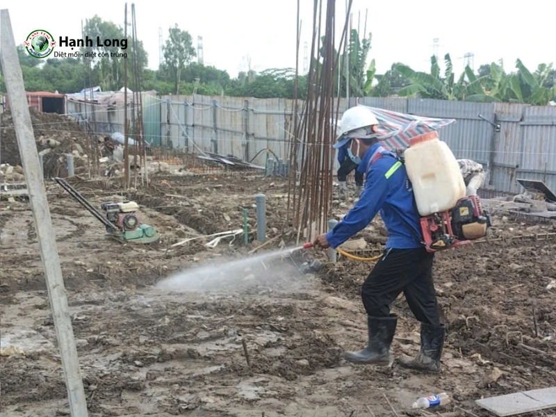 diệt mối quận 4