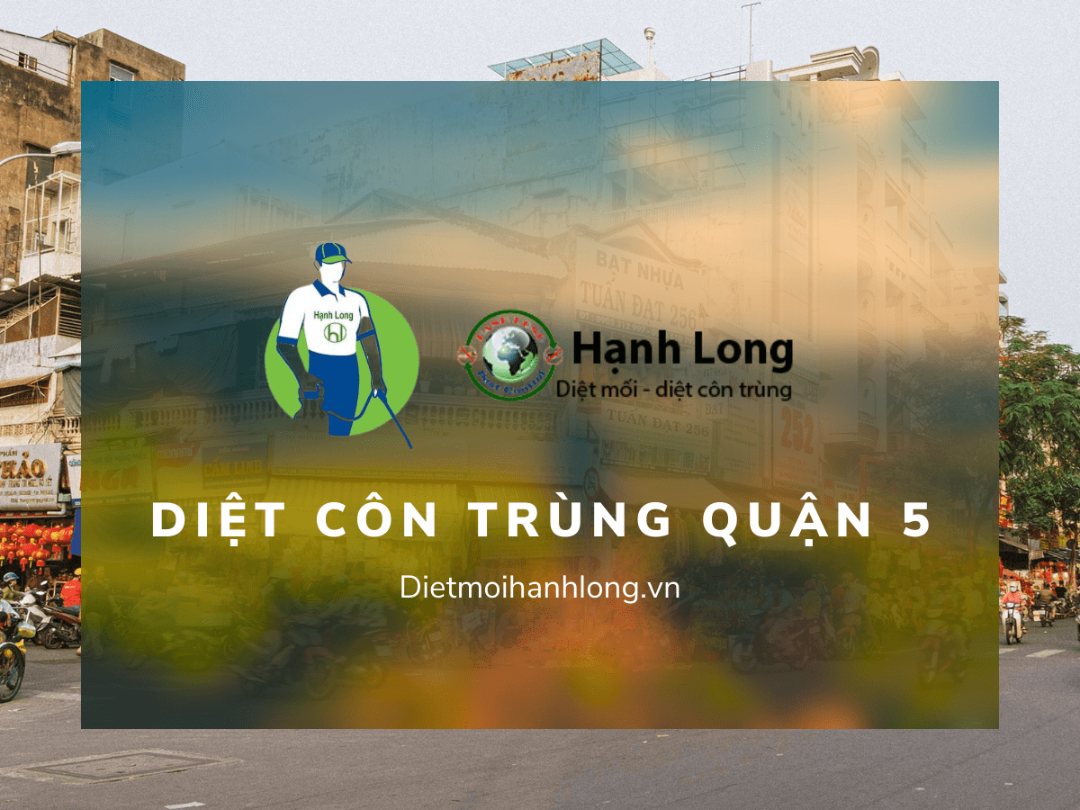 Diệt Côn Trùng Quận 5 Giá Tốt, Chuyên Nghiệp