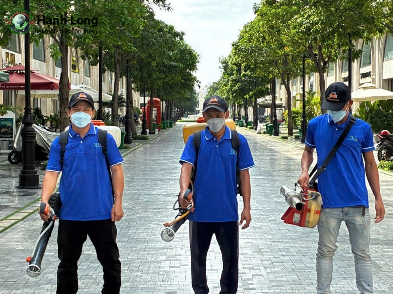 Tự làm hay thuê dịch vụ diệt côn trùng chuyên nghiệp?