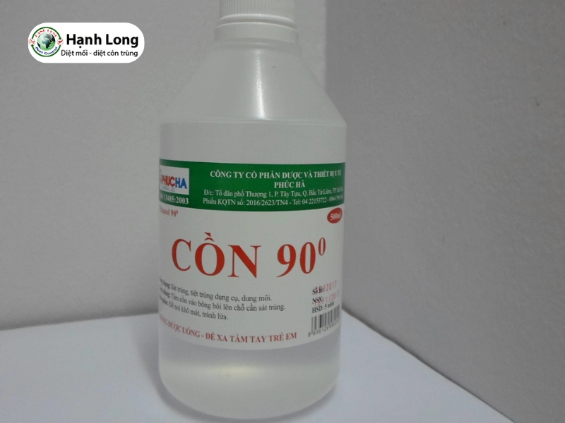 diệt mối trong đất