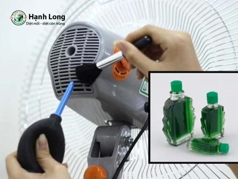 cách đuổi muỗi bằng dầu gió cách đuổi muỗi bằng dầu gió