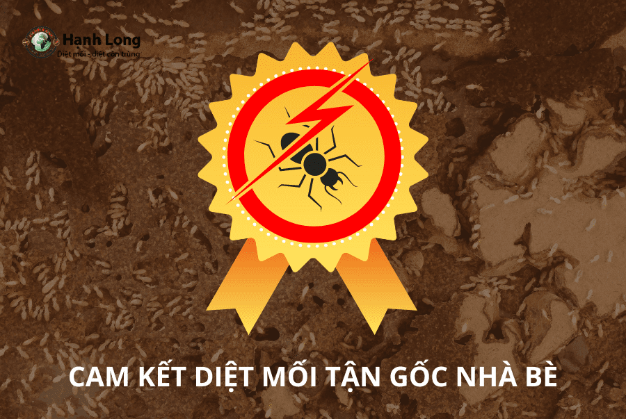 Cam kết diệt sạch mối