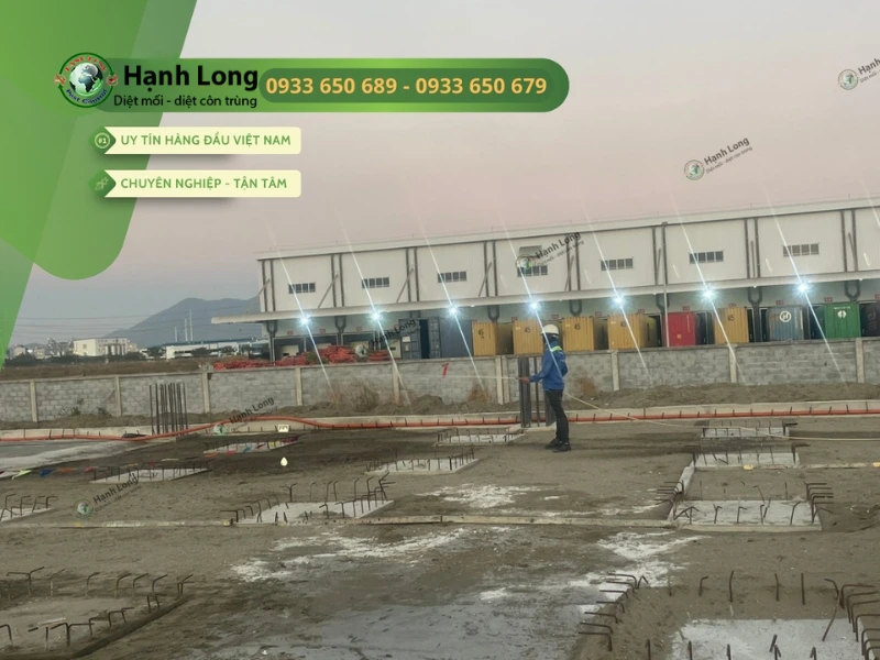 quy trình chống mối công trình