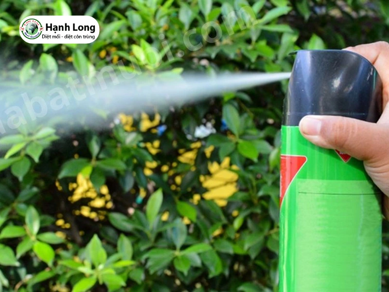 cách trị mối cánh