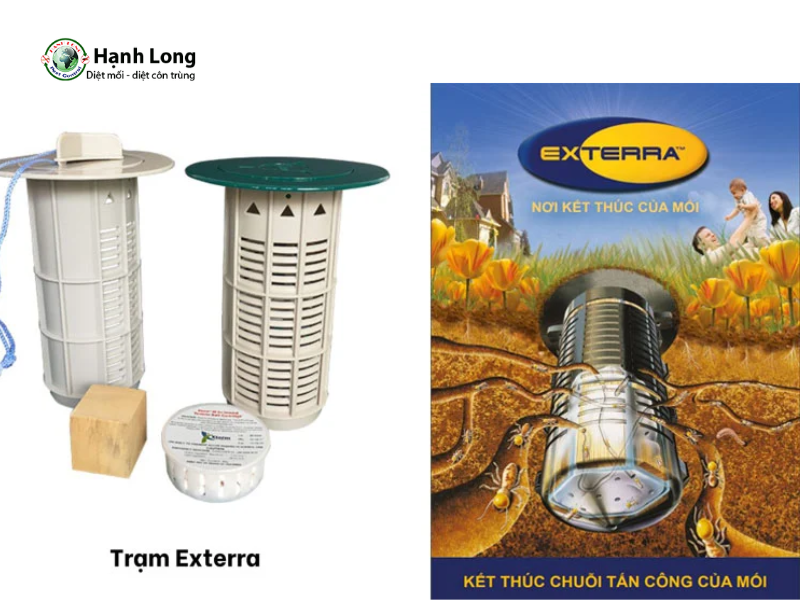 Diệt mối bằng công nghệ Exterra: Hiệu quả, không phá kết cấu