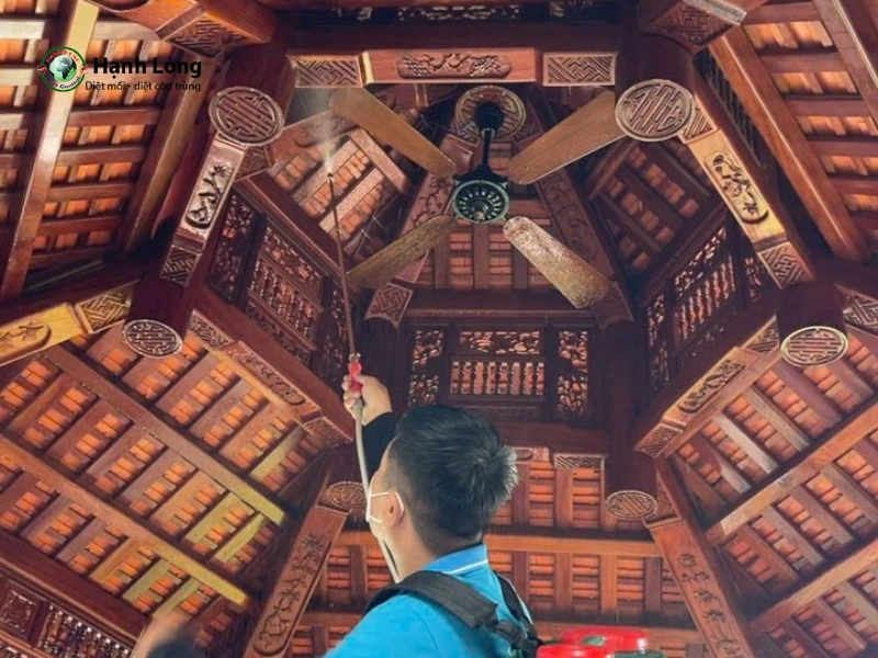 công ty diệt mối quận 2