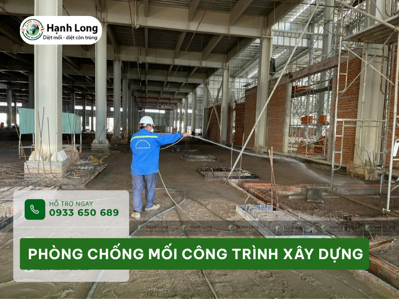 Dịch vụ Phòng chống mối công trình xây dựng