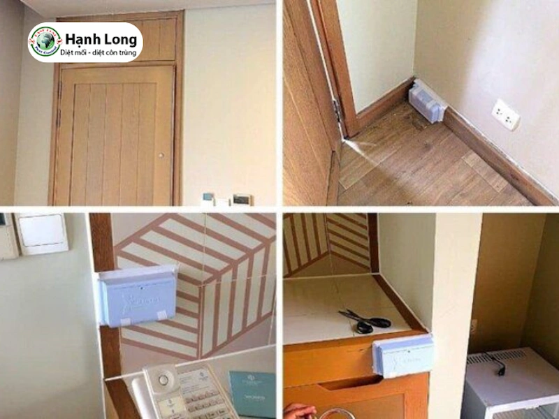 chế phẩm sinh học diệt mối chế phẩm sinh học diệt mối